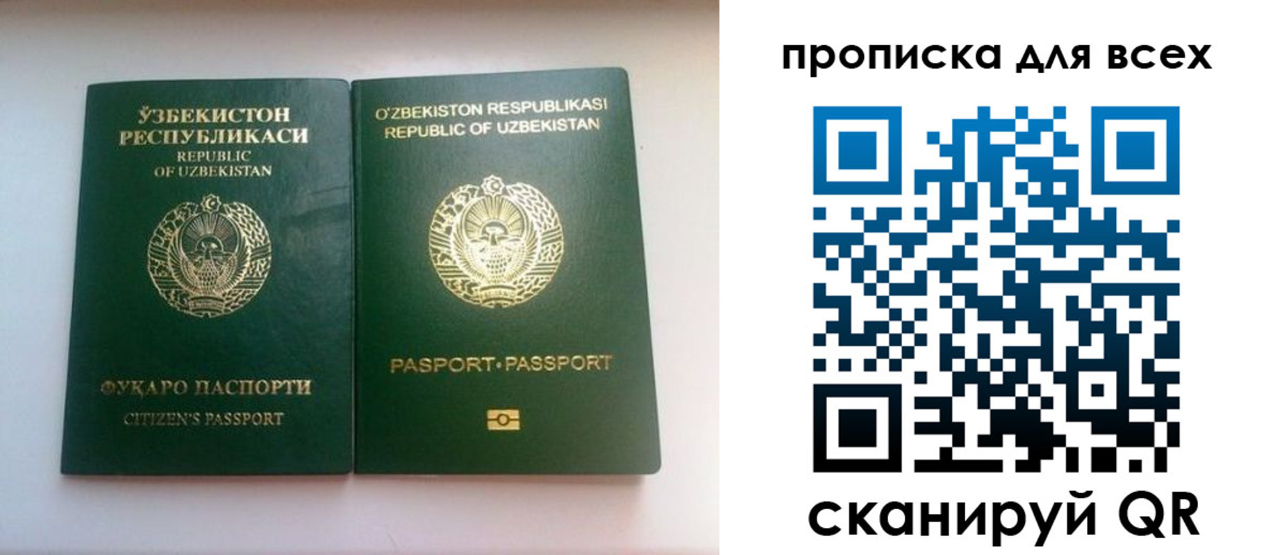 прописка для школы в Вытегре